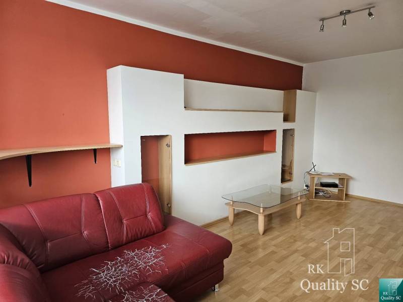 Wohnzimmer mit rotem Sofa und Regalsystem in einer 2-Zimmer-Wohnung.