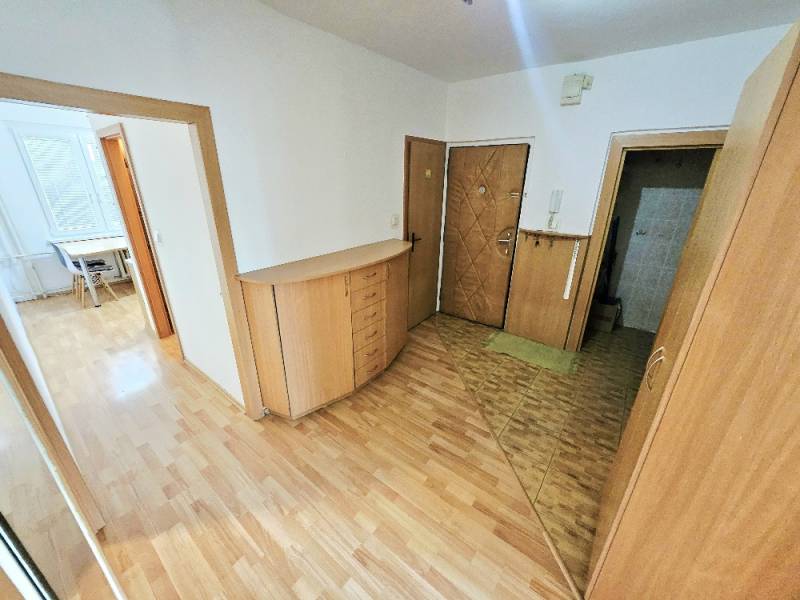 Diele einer 3-Zimmer-Wohnung mit Holzböden und Möbeln, Blick in das Zimmer.