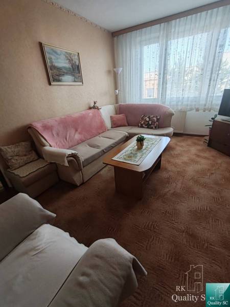 Wohnzimmer in einer 3-Zimmer-Wohnung mit Sofa, Teppich und Wanddekoration.
