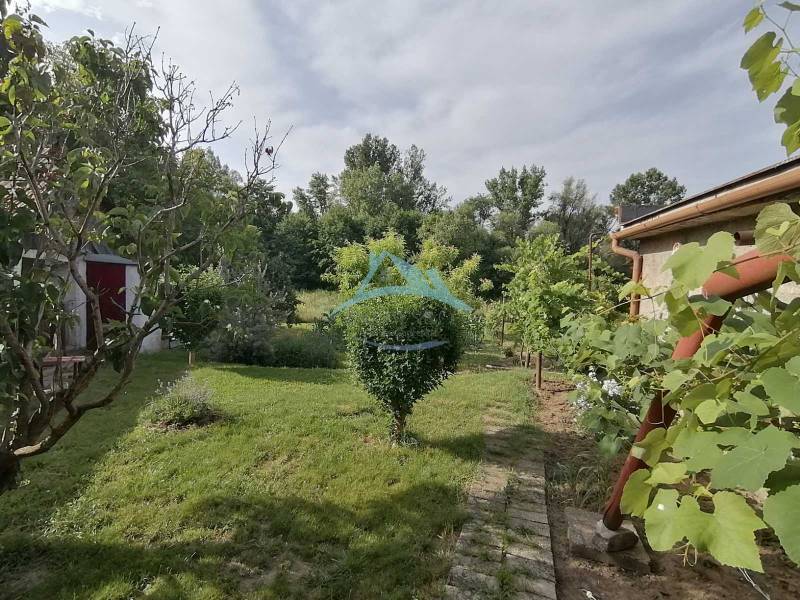 Der Garten des Einfamilienhauses in Hrkovce, umgeben von Grün und Bäumen.