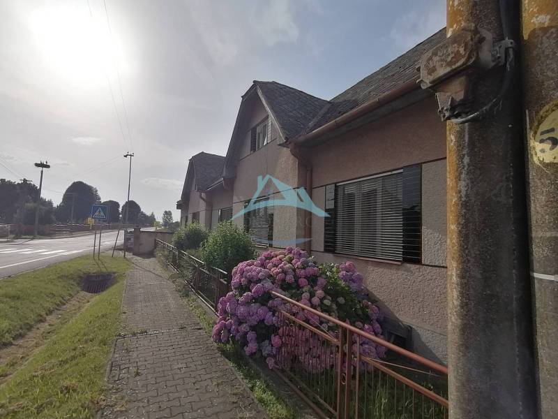 Ein Einfamilienhaus in Hrkovce mit einem Steinweg und blühenden Hortensien im Garten.