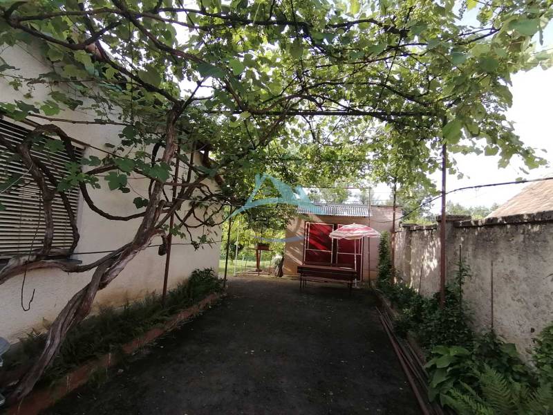 Ein Einfamilienhaus in Hrkovce mit einer Bank unter Kletterpflanzen im Garten.