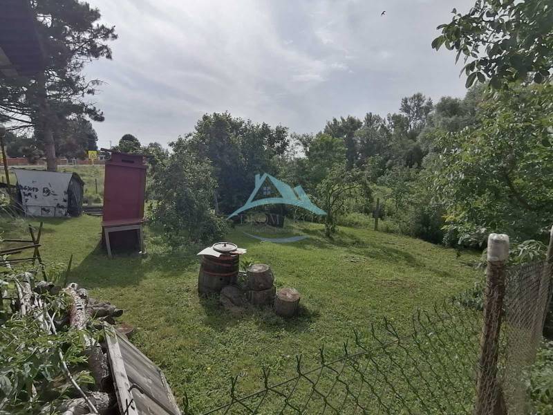 Ein Garten mit Rasen und Bäumen, neben einem Einfamilienhaus in Hrkovce.