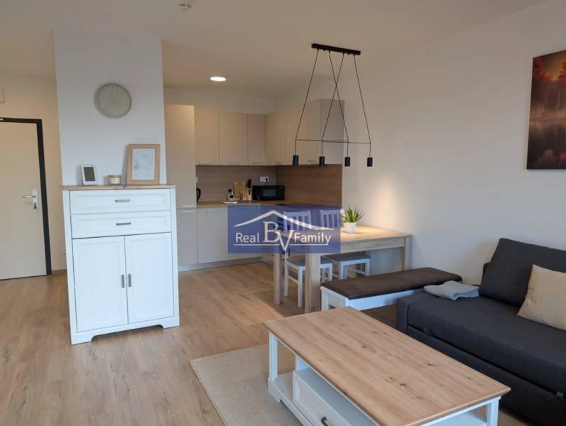 Wohnzimmer mit Küche und Essbereich in einer 2-Zimmer-Wohnung.