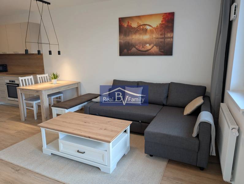 Wohnzimmer in einer Zweizimmerwohnung mit Sofa und Esstisch.