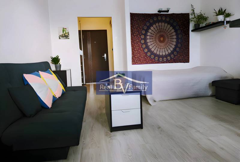 Einzimmerwohnung mit Sofa, Bett, Bild an der Wand und Pflanzen auf dem Regal.