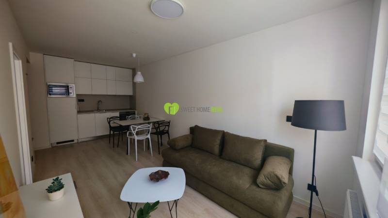 Wohnzimmer in einer Einzimmerwohnung mit Kochnische, Tisch, Sofa und Stehlampe.