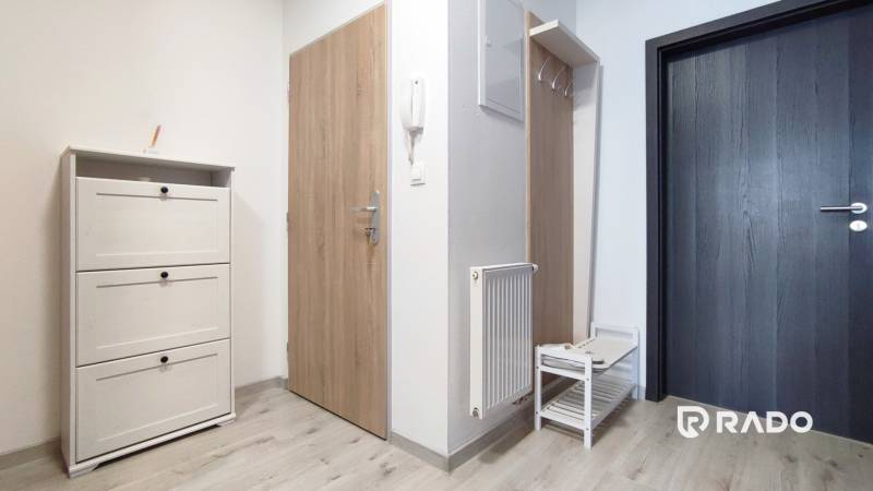 Eingangsbereich mit Holztür und Schuhschrank in einer 2-Zimmer-Wohnung.