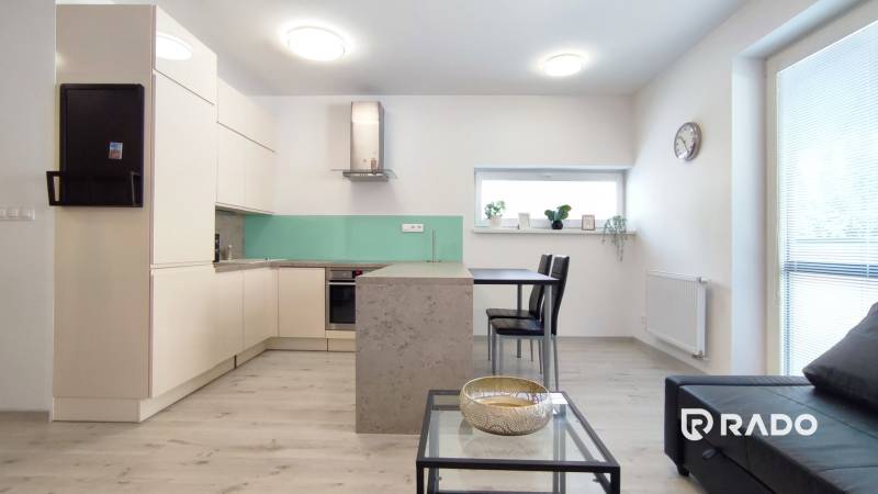 Küche und Wohnzimmer in einer 2-Zimmer-Wohnung mit minimalistischem Möbeln und Dekorationen.
