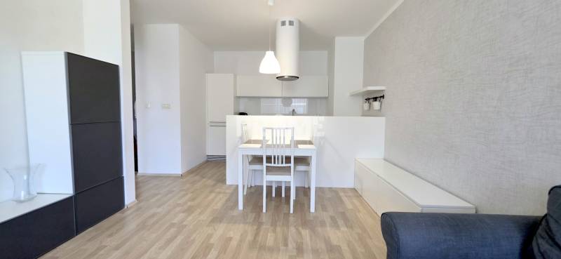 Essbereich und Küche in einer 2-Zimmer-Wohnung mit einfacher Einrichtung.