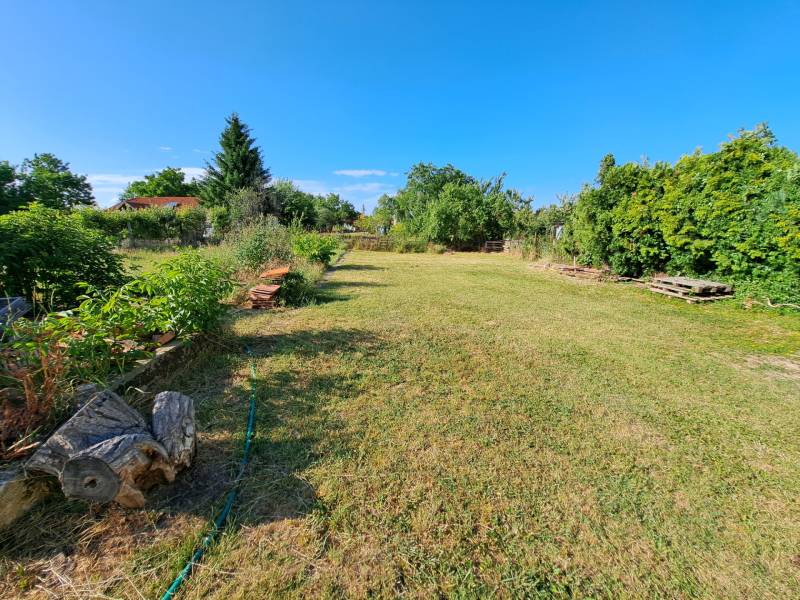 Der Garten beim Einfamilienhaus in Kmeťovo, umgeben von Grün und blauem Himmel.
