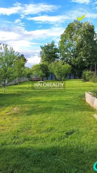 Garten beim Einfamilienhaus in Kalinovo mit Rasen und Obstbäumen.