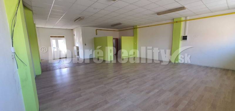 Geräumige Geschäftsräume mit hellem Interieur und grünen Akzenten.
