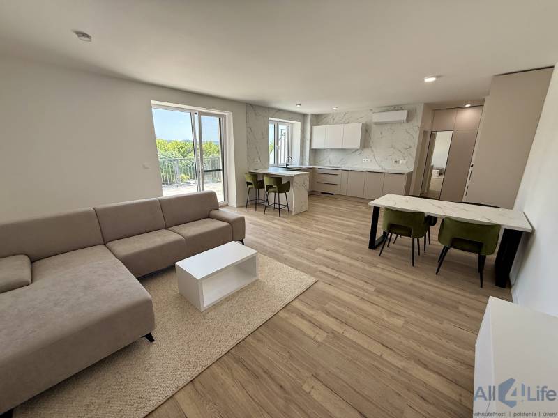 Wohnzimmer einer Zweizimmerwohnung mit grauem Sofa und Kochnische.