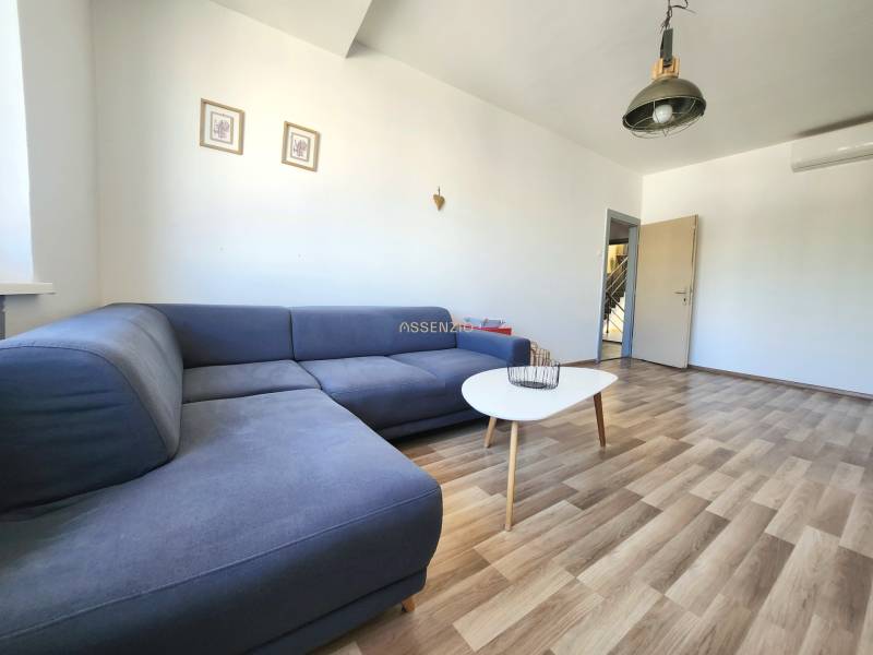 Wohnzimmer mit einem blauen Sofa, einem Tisch und Holzboden in einer 2-Zimmer-Wohnung.