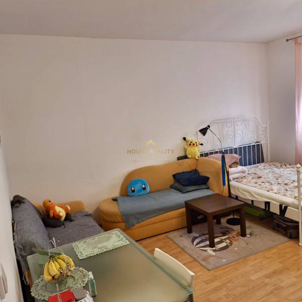 Ein Zimmer mit einem Sofa, einem Bett, einem Tisch und Plüschtieren in einer Einzimmerwohnung.