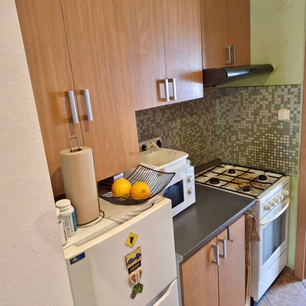 Küche in einer Einzimmerwohnung mit Gasherd, Mikrowelle und weißem Kühlschrank.