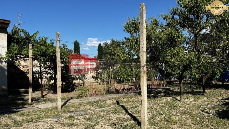 Der Garten des Einfamilienhauses in der Nerudova-Straße in Pezinok mit Obstbäumen und Weinreben.