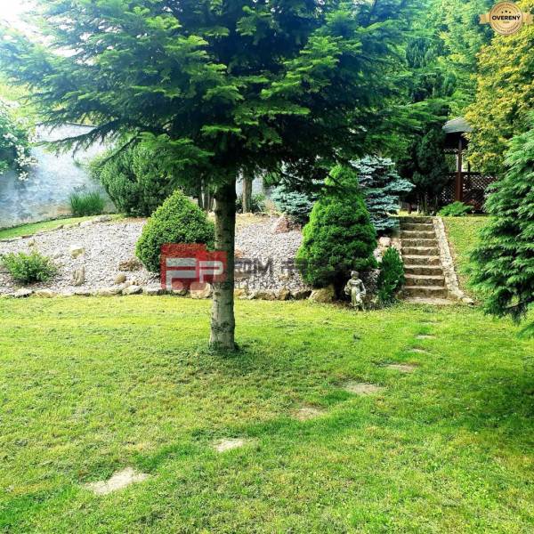 Garten bei einem Einfamilienhaus in Píla mit Rasen, Bäumen und Steintreppen.