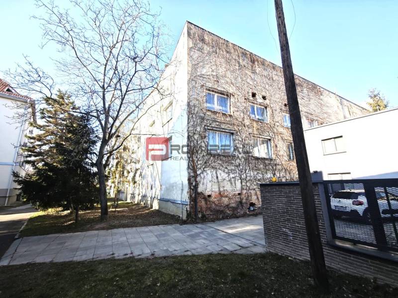 Ein Gebäude in der Ľ. Podjavorinská-Straße, bedeckt mit Kletterpflanzen, daneben steht ein Baum.