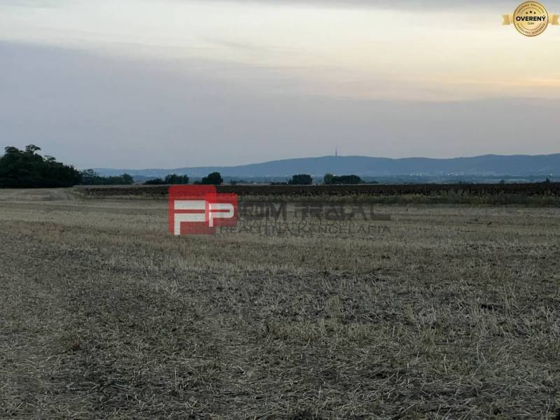 Blick auf landwirtschaftliche und forstwirtschaftliche Flächen in der Senecká-Straße bei Sonnenuntergang.