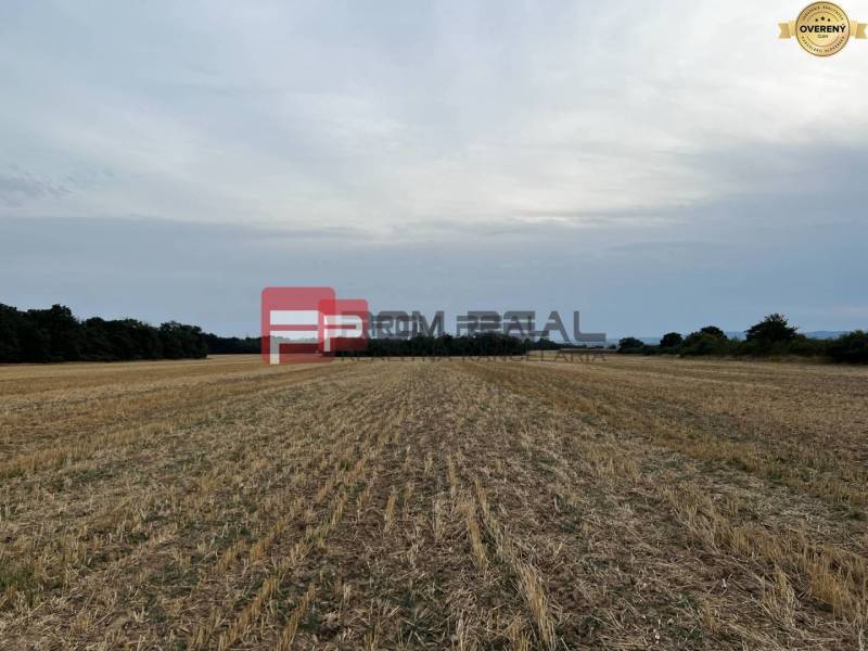 Ein Feld an der Senecká-Straße mit landwirtschaftlichen und forstwirtschaftlichen Flächen, umgeben von Bäumen.
