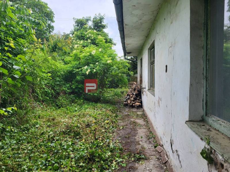 Grundstück in der Holubyho-Straße in Pezinok, überwuchert mit Grün, mit einem Nebengebäude.