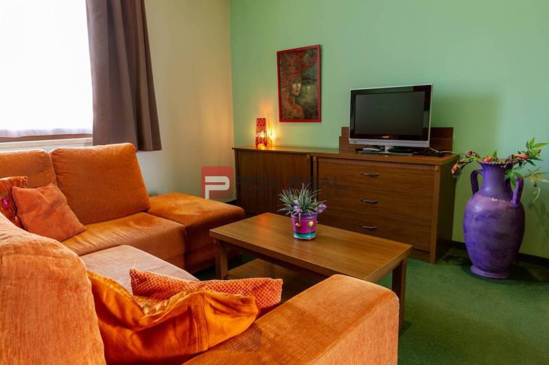 Wohnzimmer in Hotels und Pensionen, mit Sofa, Fernseher, Bild und Dekorationen.