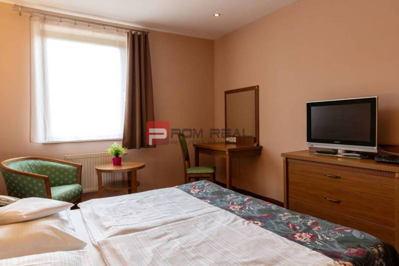 Ein Hotelzimmer mit Fernseher, Schreibtisch, Sessel und einer Pflanze auf dem Tisch.