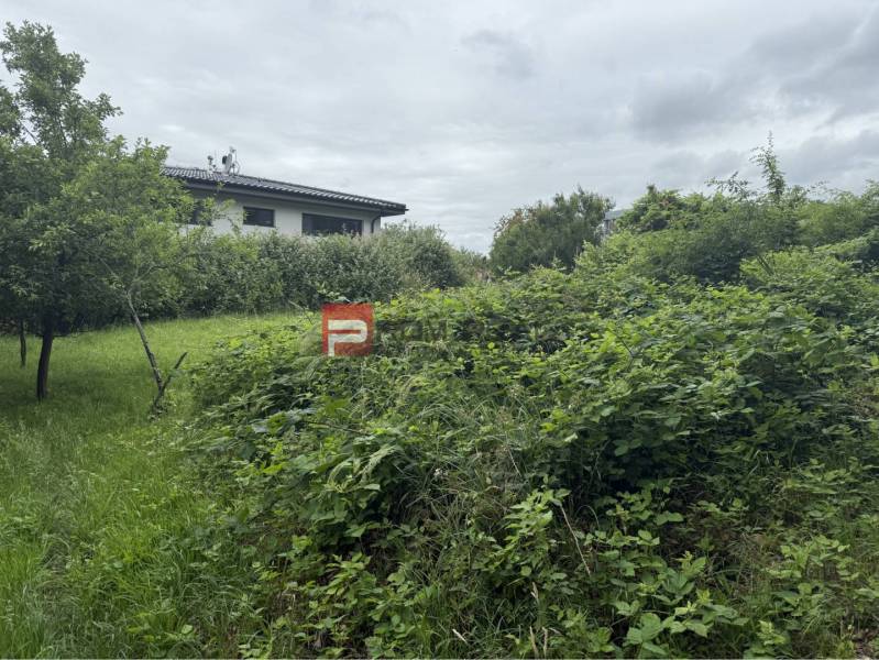 Verwachsenes Grundstück zum Wohnen in Marianka, Na Tálkoch, gegenüber einem Haus, umgeben von Grün.