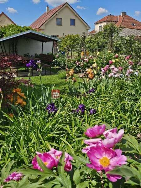 Der Garten beim Einfamilienhaus in der Sonnenstraße in Pezinok voller Blumen und ein Pavillon.