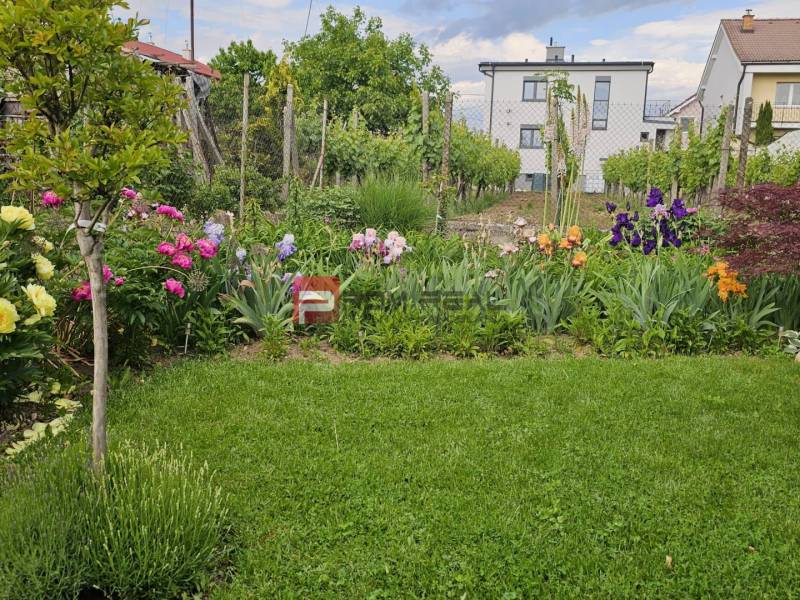 Blumengarten und Weinberg hinter dem Einfamilienhaus in der Sonnenstraße in Pezinok.