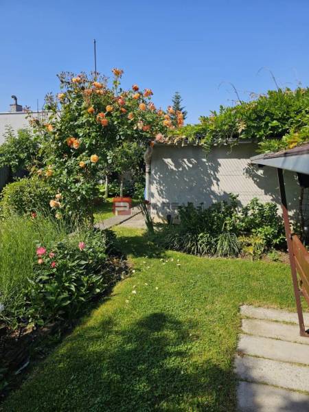 Der Garten des Einfamilienhauses in der Sonnenstraße in Pezinok mit schönen Blumen und Rasen.