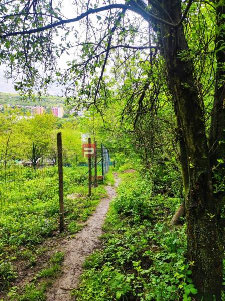 Ein schmaler Waldweg führt durch Hecken und Gärten in einer natürlichen Szenerie.