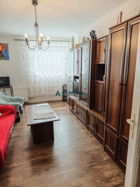 Wohnzimmer mit Holzmöbeln, Sofa und Kronleuchter in einer Zweizimmerwohnung.