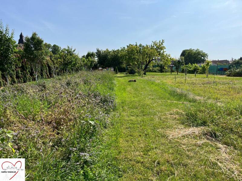 Grünflächen und hohes Gras auf Wohnbaugrundstücken in Dolný Bar.