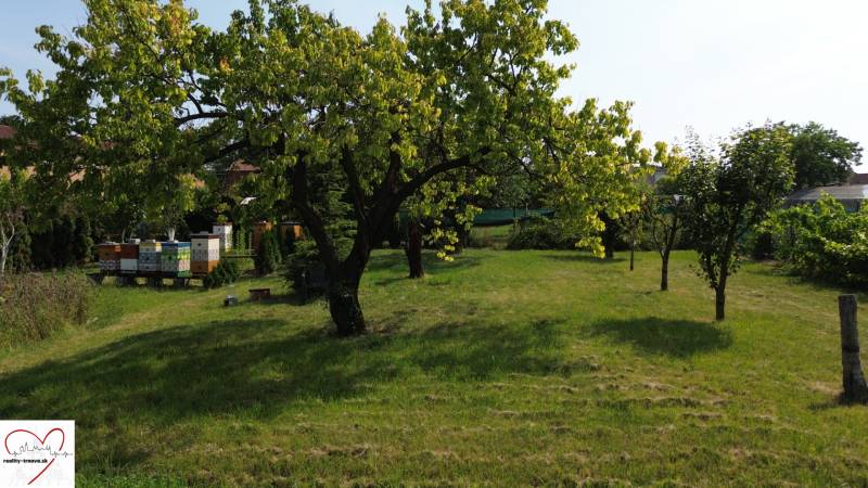 Garten in Dolný Bar mit Bienenstöcken und Bäumen, geeignet zum Wohnen.