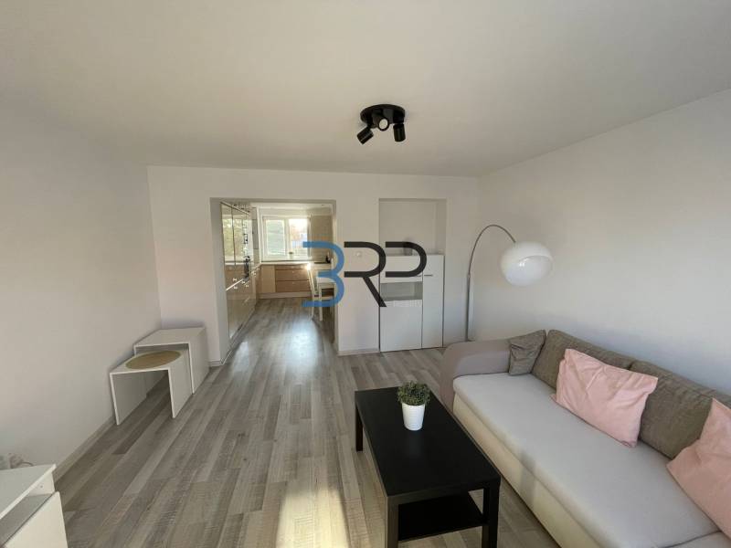 Wohnzimmer in einer Zweizimmerwohnung mit Sofa, Tisch und Zugang zur Küche.