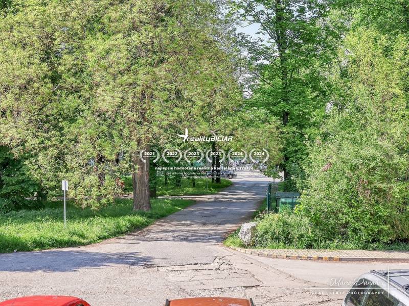 Die Staničná-Straße in Trnava, gesäumt von Bäumen, zeigt eine ruhige städtische Szenerie.