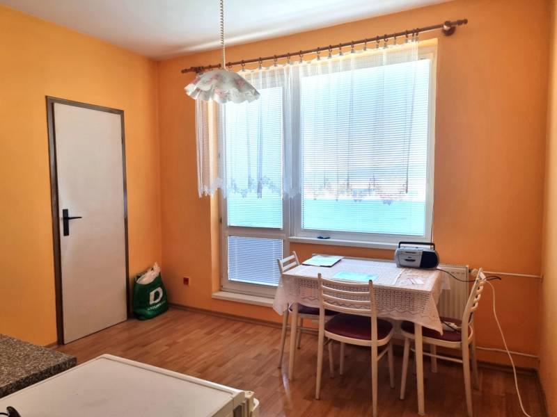 Innenraum einer 2-Zimmer-Wohnung mit Esstisch, Stühlen und großem Fenster.