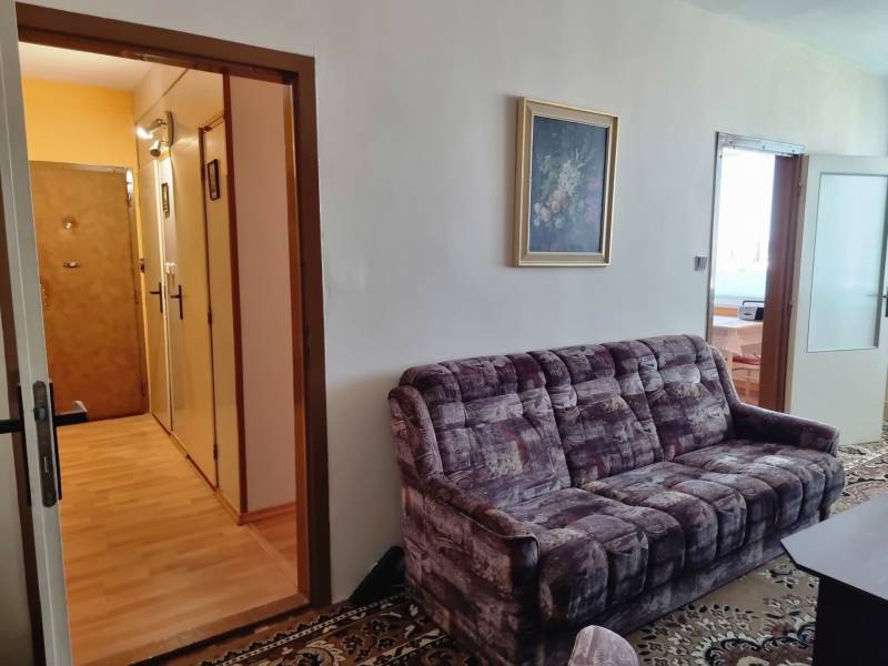 Wohnzimmer mit Sofa und Bild in einer Zweizimmerwohnung.