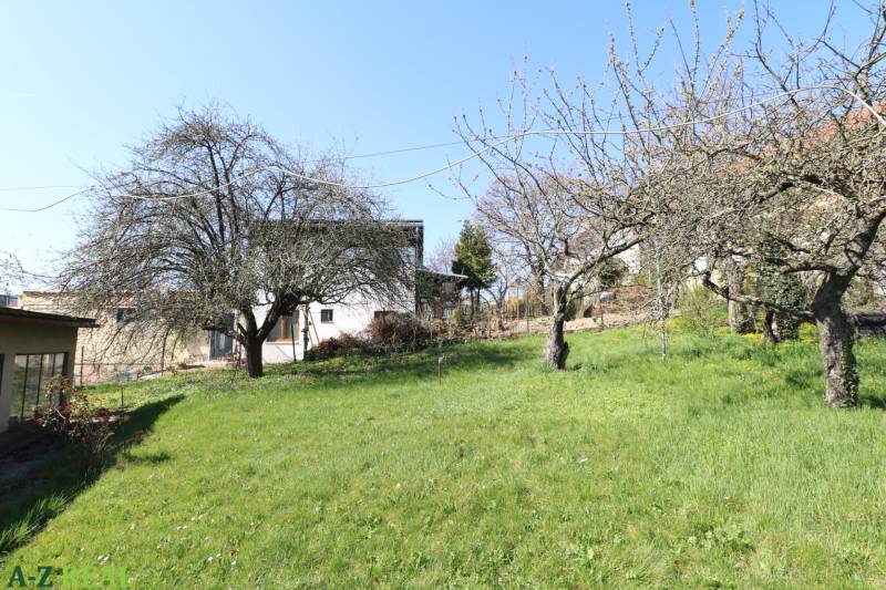 Ein Garten mit Obstbäumen bei einem Einfamilienhaus in der Jalovcová-Straße in Bratislava auf dem Koliba.