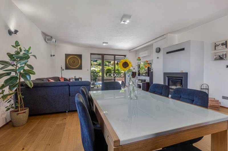 Innenraum eines Einfamilienhauses mit Esstisch, Kamin, Sofa und Zimmerpflanzen.