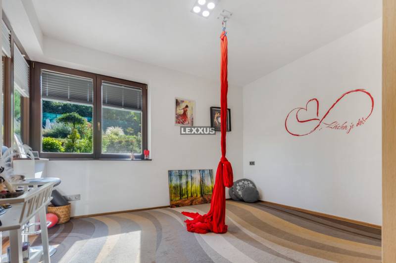 Ein Zimmer im Einfamilienhaus mit Blick in den Garten und einer Decken-Schaukel zum Üben.