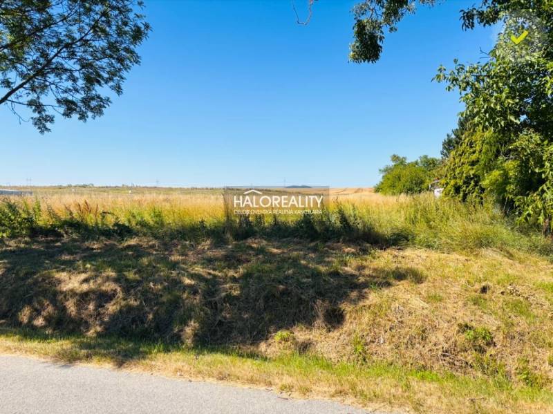 Grünfläche umgeben von Bäumen in der Stadt Horná Krupá, Grundstücke - Wohnen.