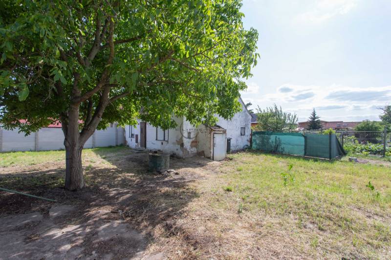 Garten mit Rasen und Baum in Gajary an der Športová, Grundstücke - Wohnen.