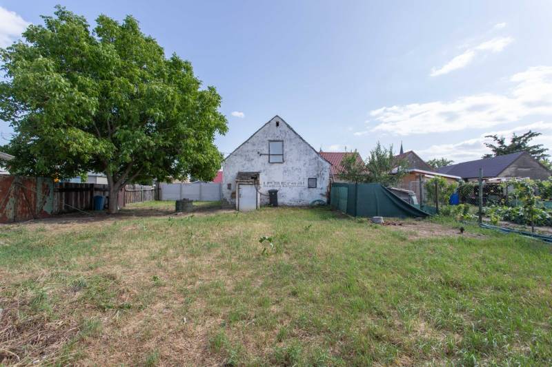 Grundstücke - Wohnen in der Športová-Straße in der Gemeinde Gajary mit einem Haus und einem großen Baum.