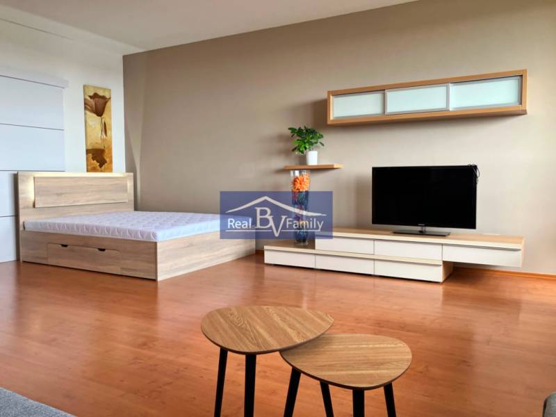 Einzimmerwohnung mit Bett, Fernseher, Möbeln und Wanddekoration.