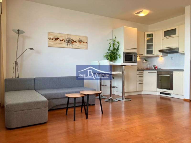 Helles Wohnzimmer mit Küchenzeile, Sofa und Holzboden in einer Einzimmerwohnung.