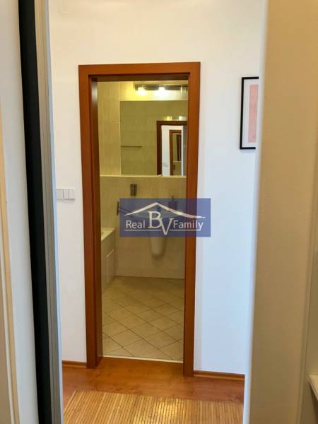 Ein Flur mit Holzboden führt in das Badezimmer einer Einzimmerwohnung.